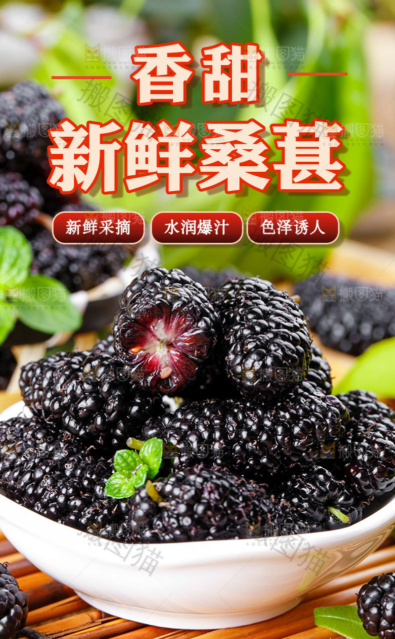 新鲜桑葚详情页