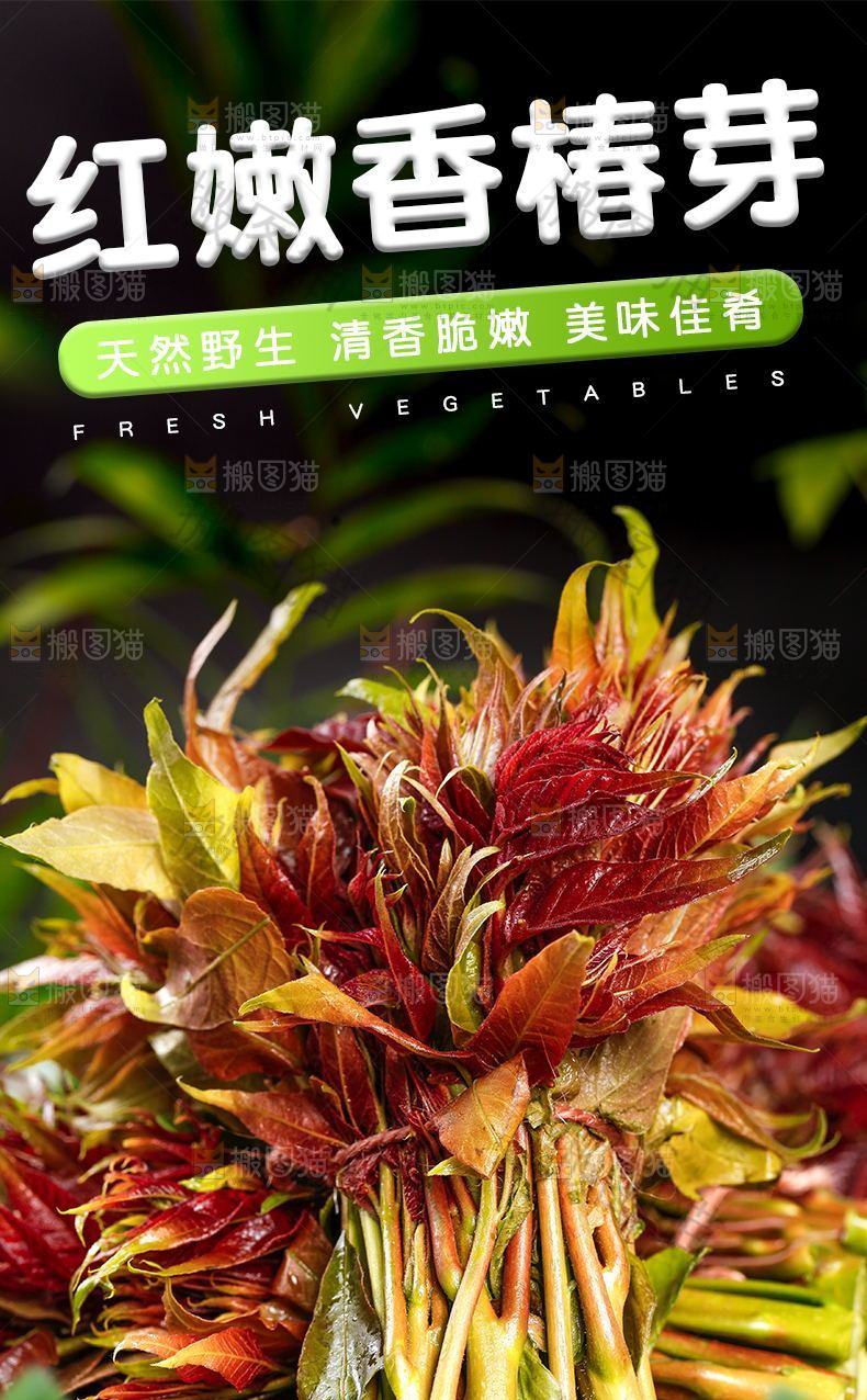 香椿芽详情页设计