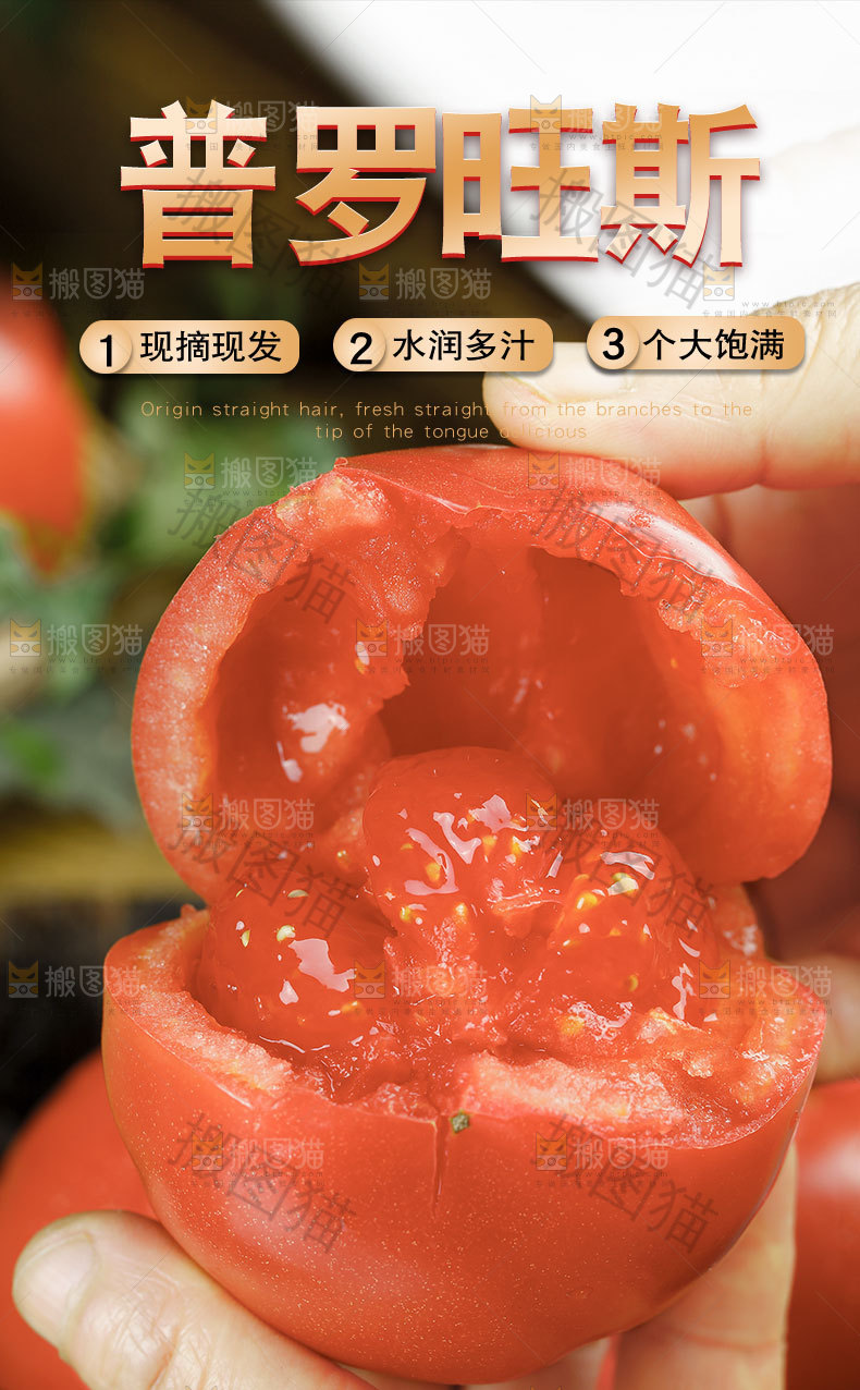 普罗旺斯西红柿详情页