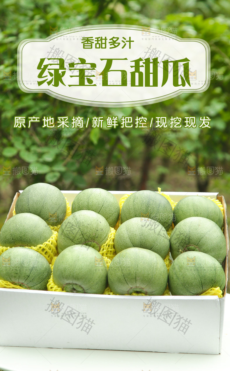 绿宝甜瓜详情页