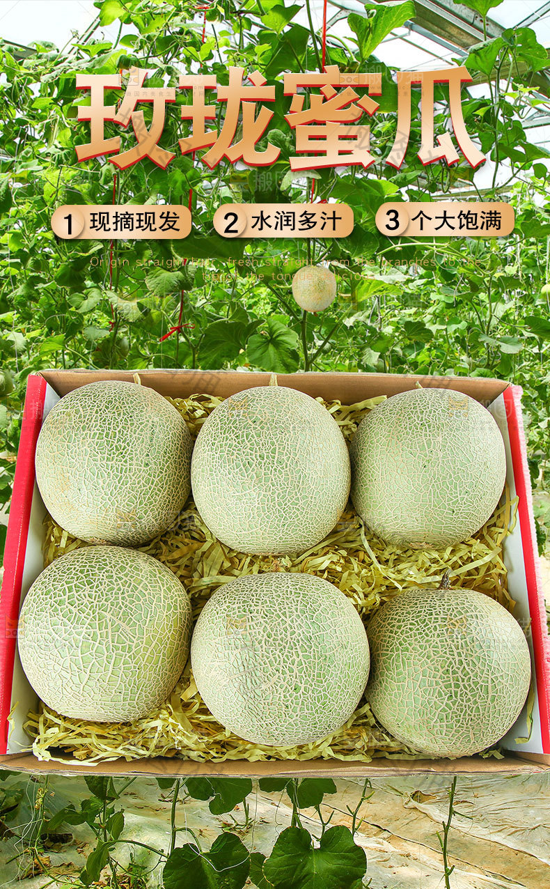 玫珑蜜瓜详情页