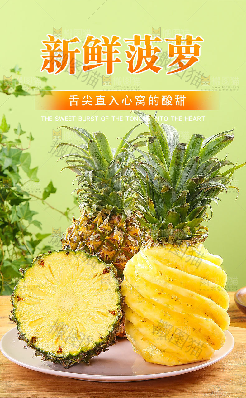 徐闻菠萝详情页