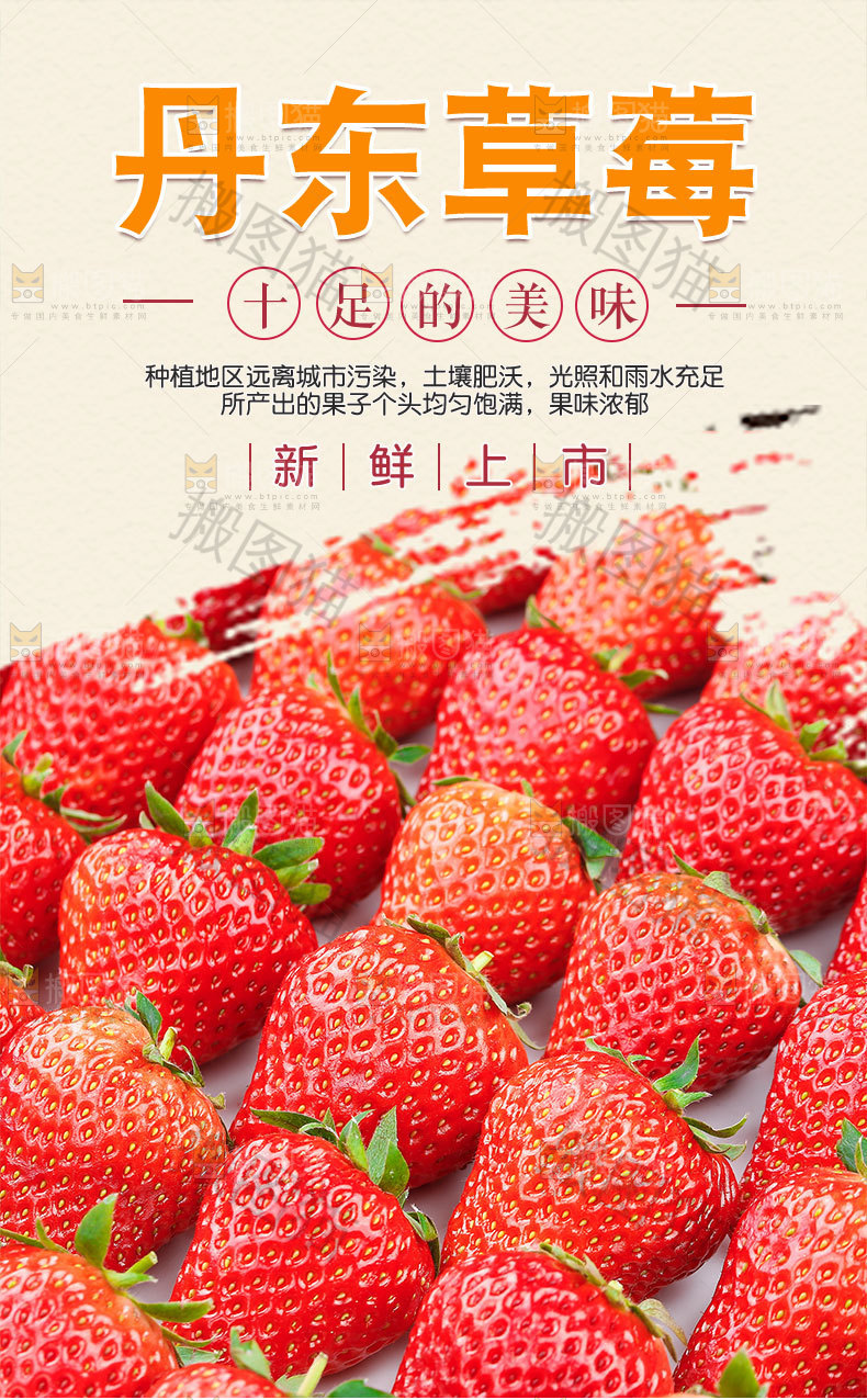 丹东大草莓详情页
