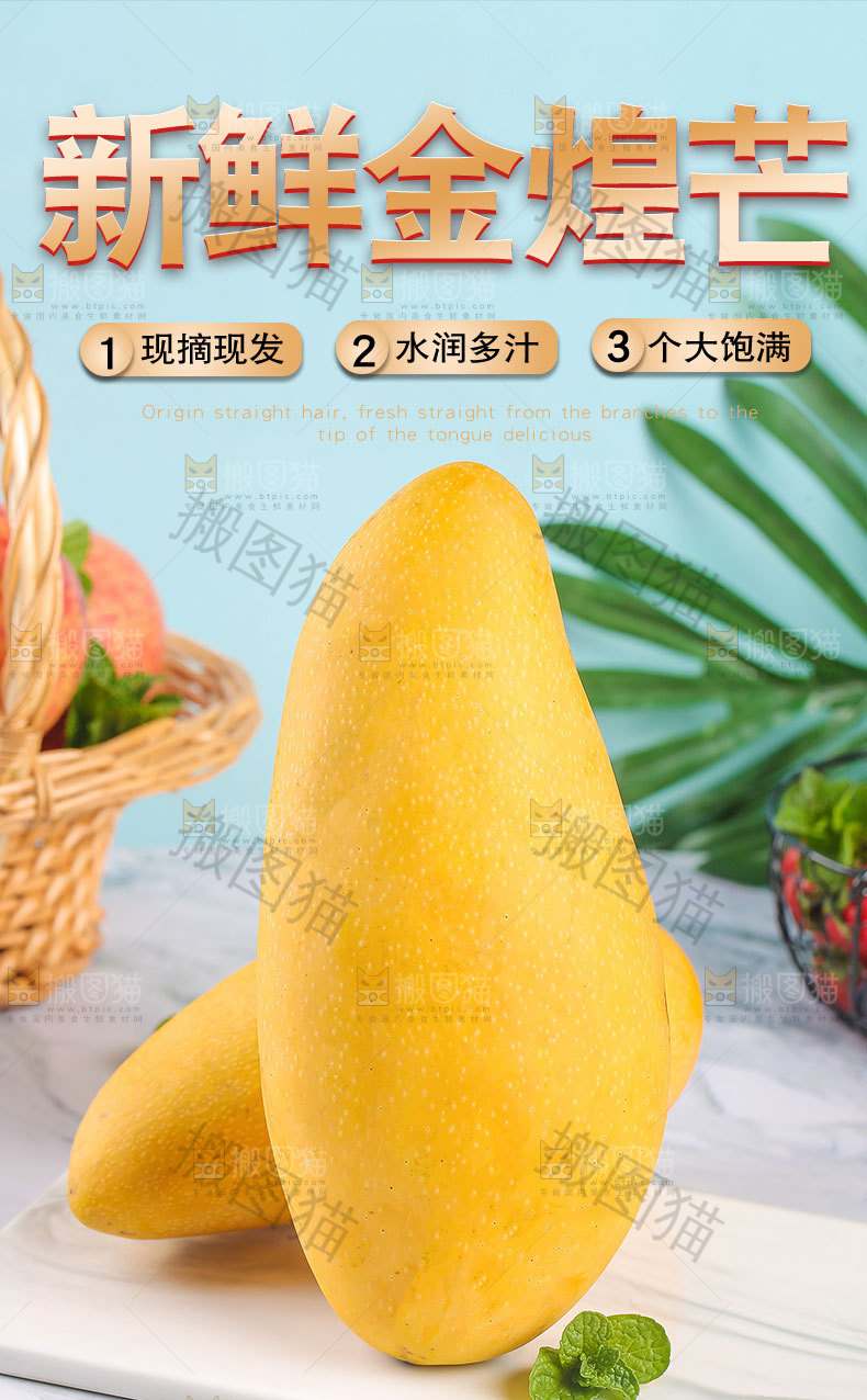 新鲜金煌芒详情页