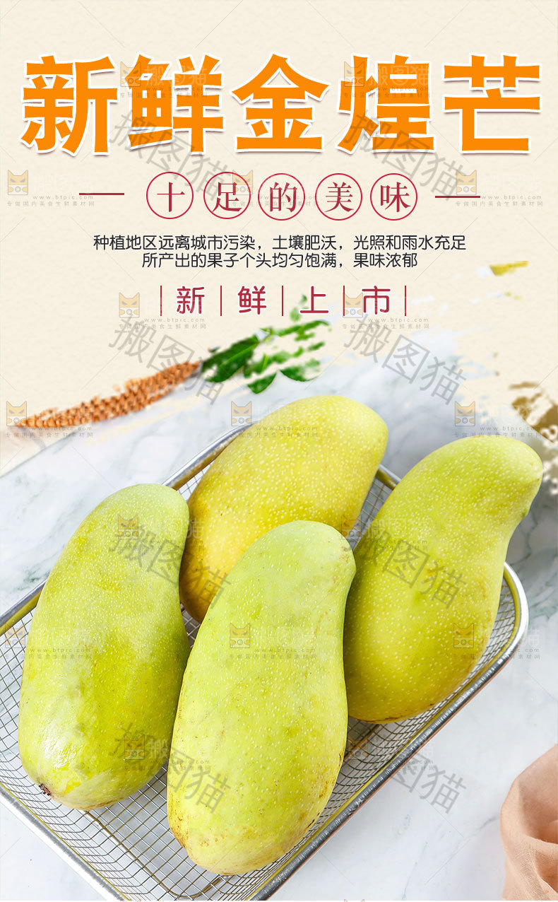 新鲜金煌芒详情页