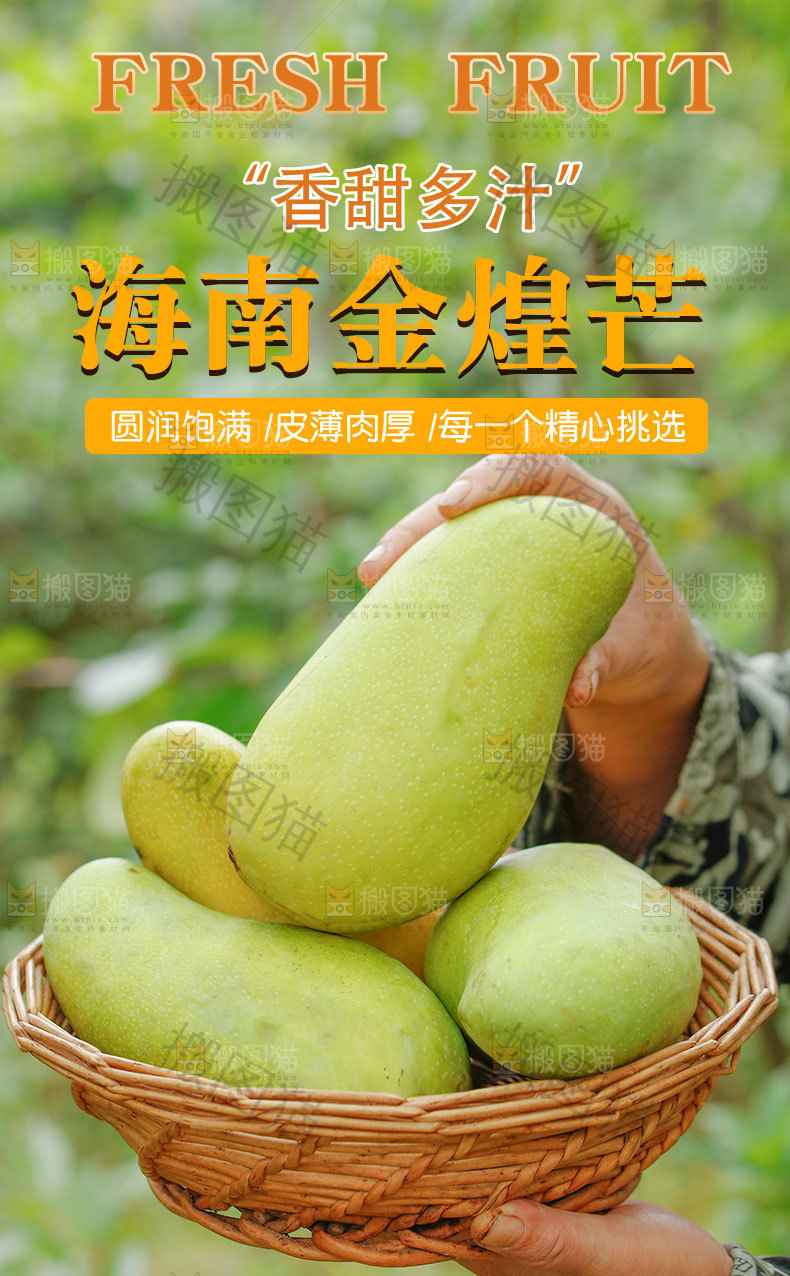 海南金煌芒详情页