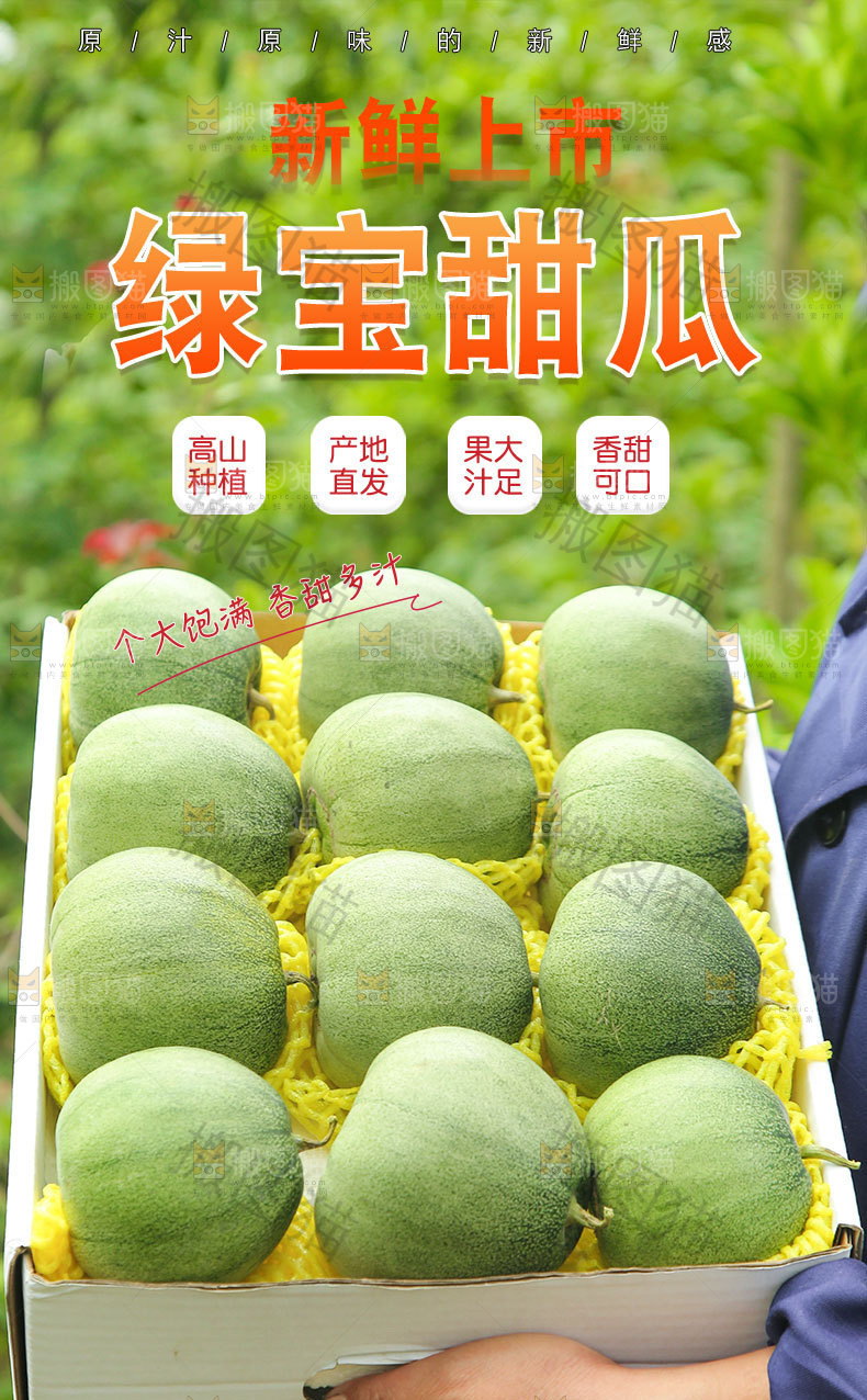 绿宝甜瓜详情页