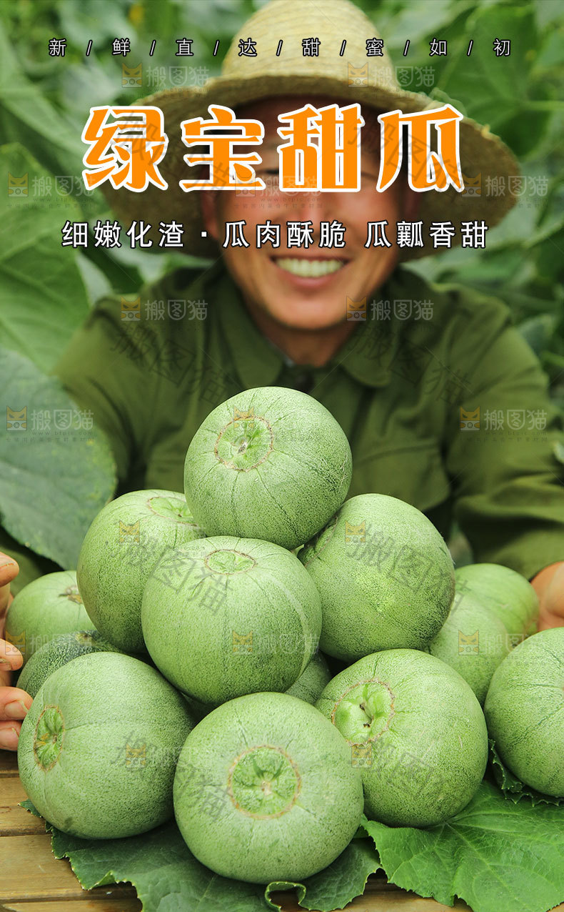 绿宝甜瓜详情页