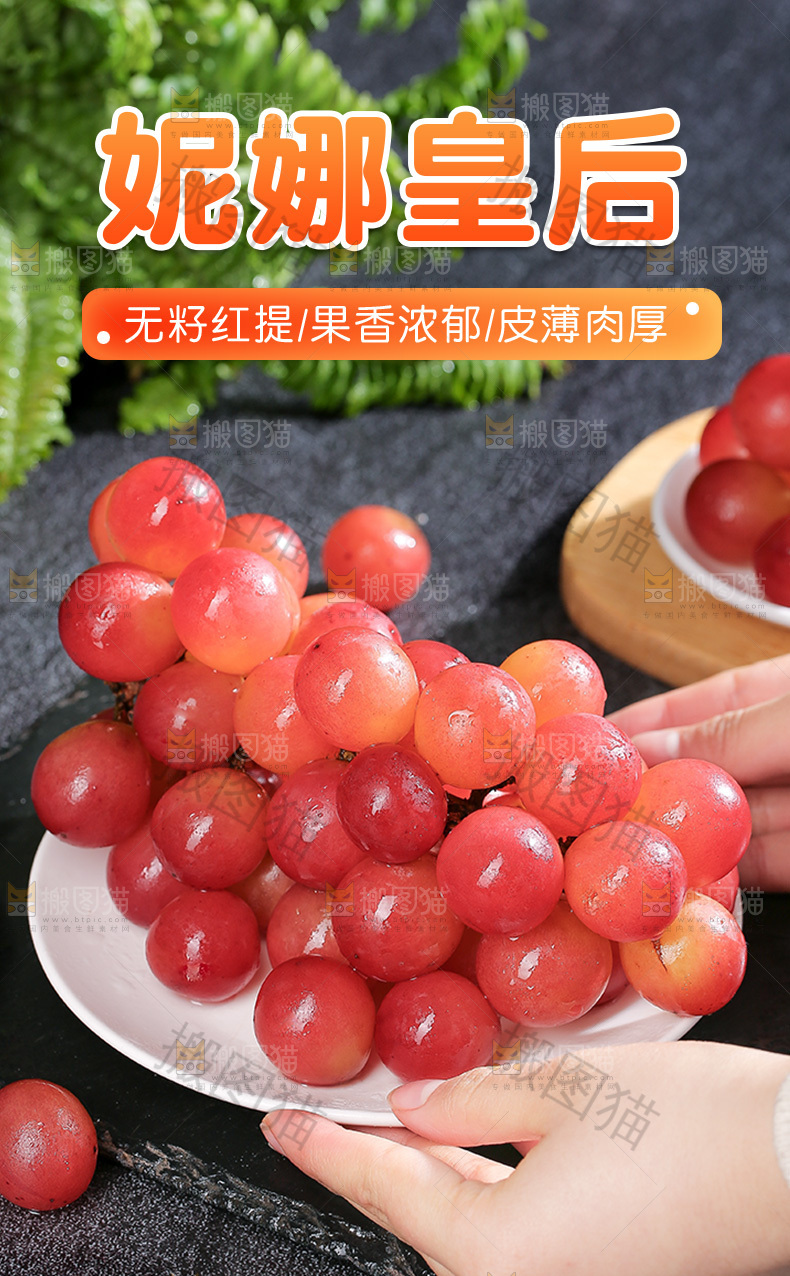 妮娜皇后红提详情页