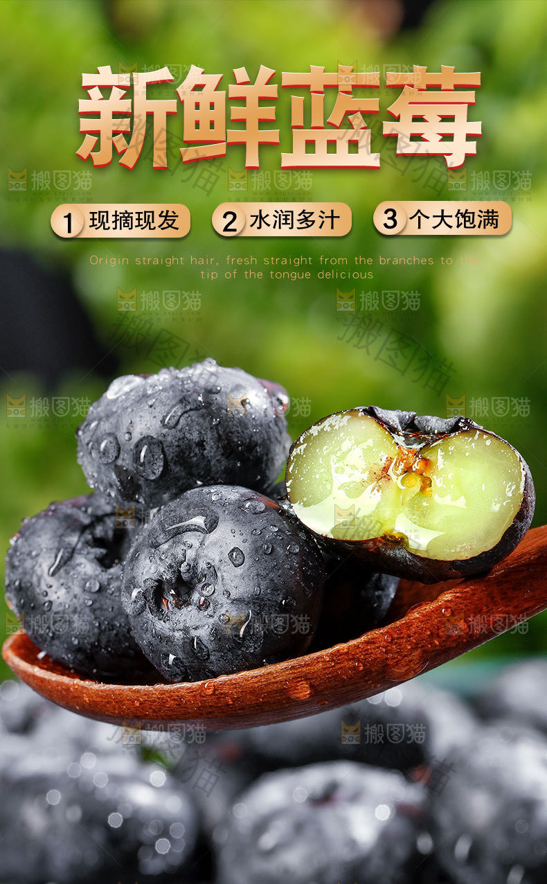 新鲜蓝莓详情页