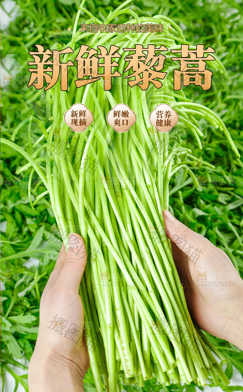 藜蒿详情页设计