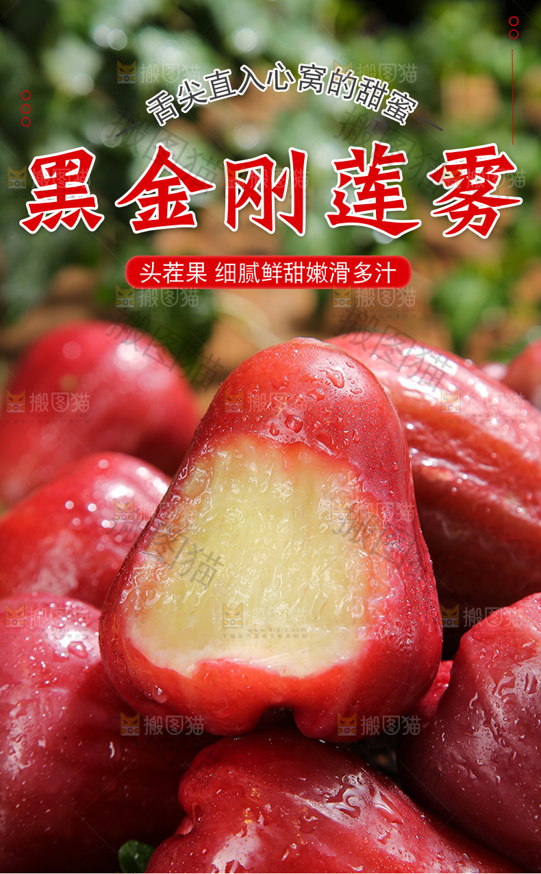黑金刚莲雾详情页
