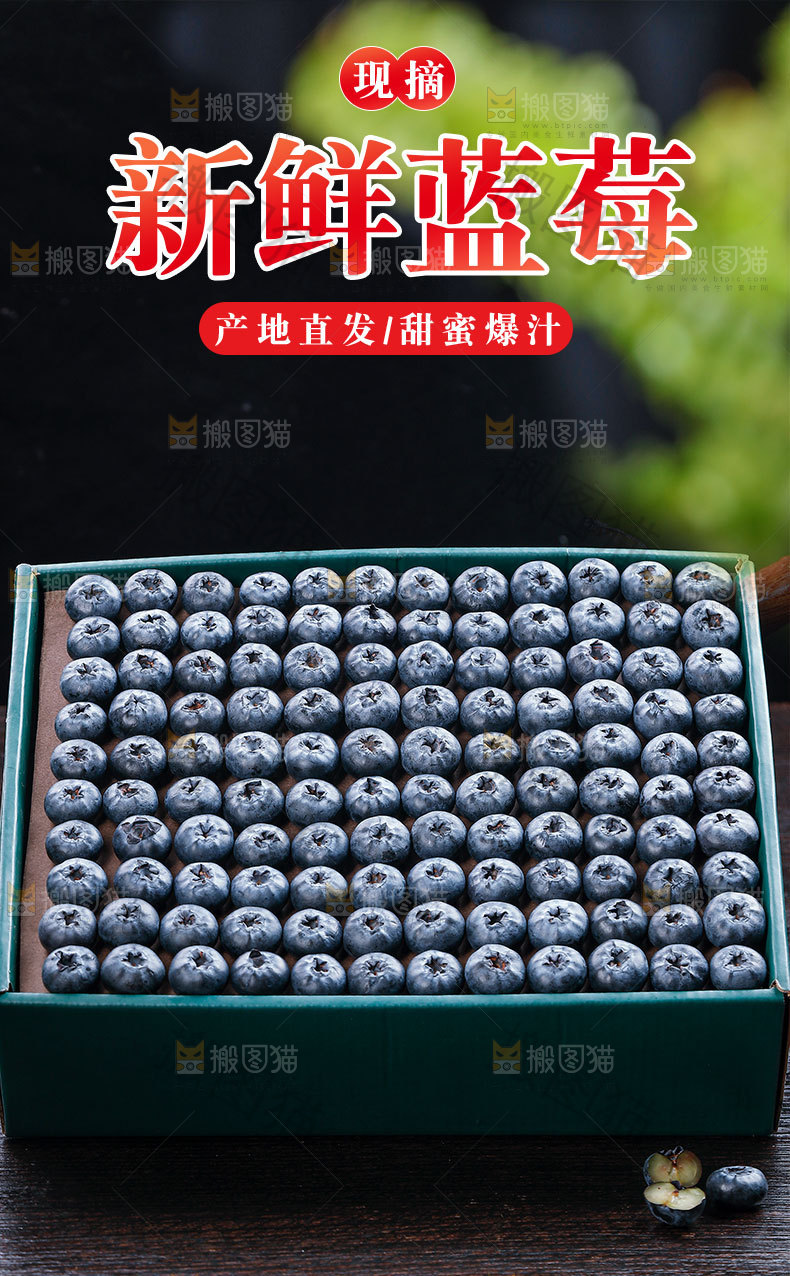 云南蓝莓详情页