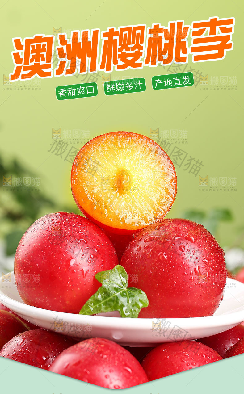 澳洲樱桃李详情页