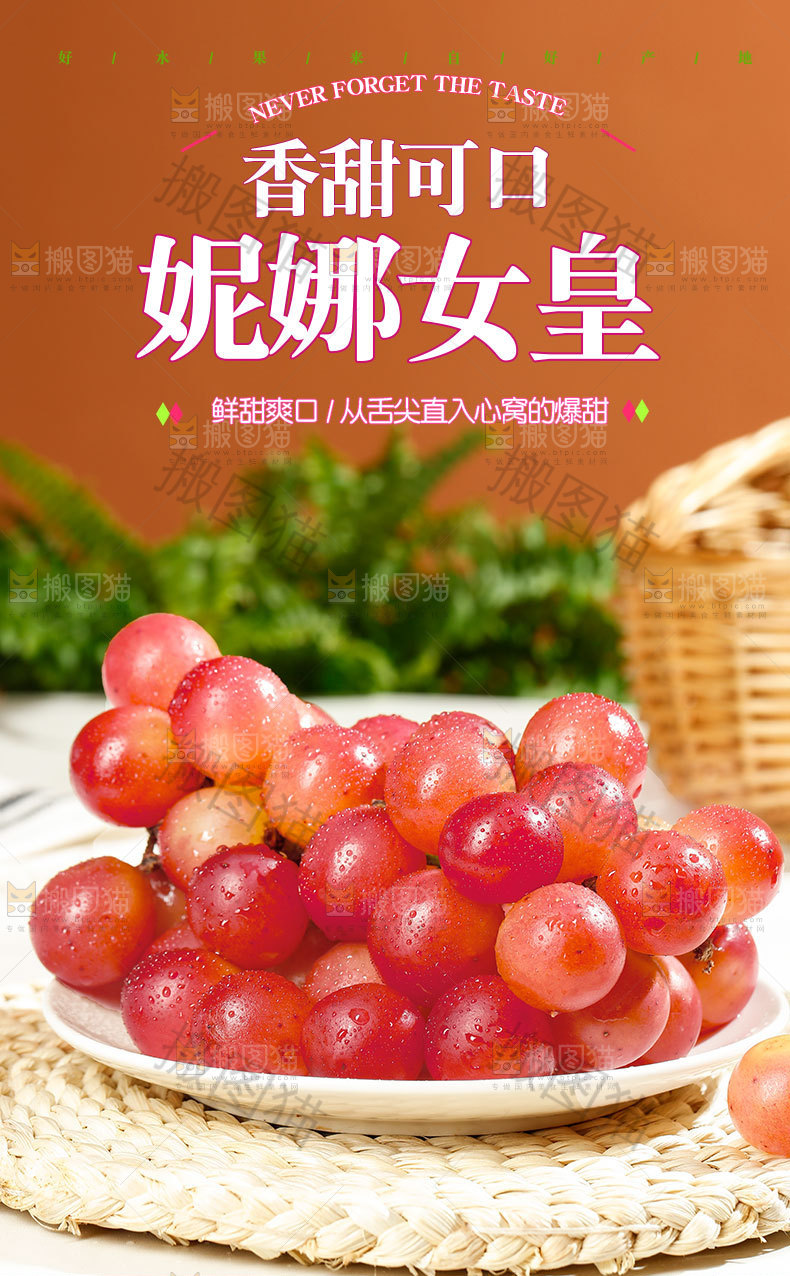 妮娜女皇详情页