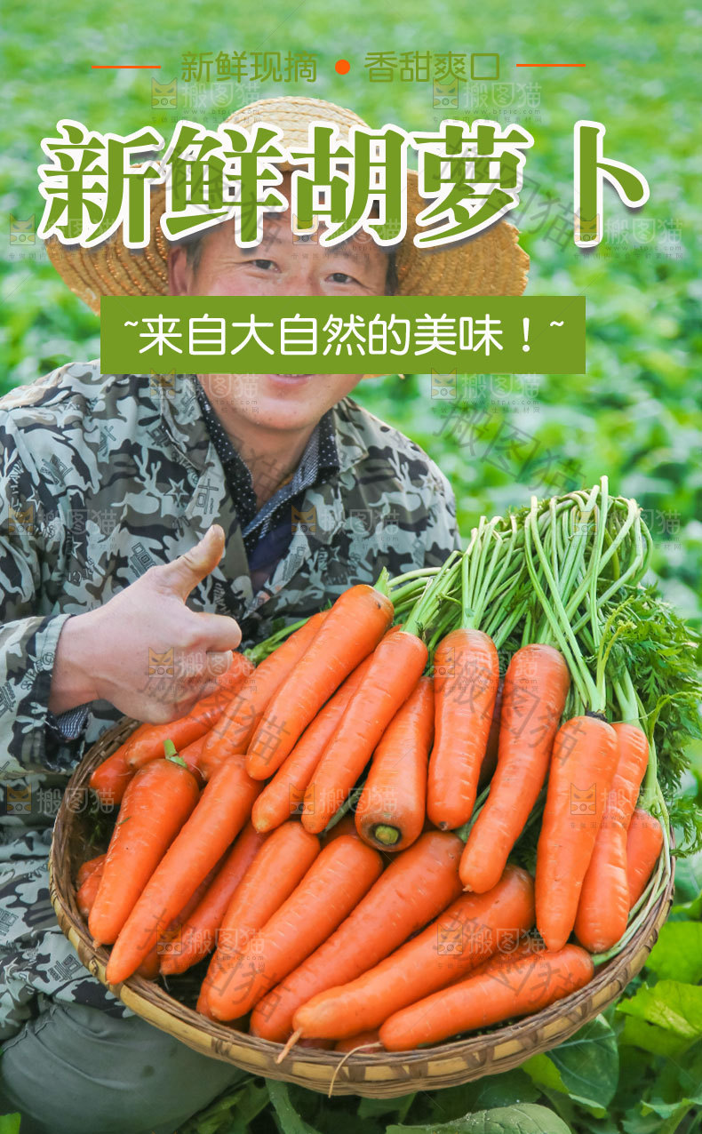 新鲜胡萝卜详情页