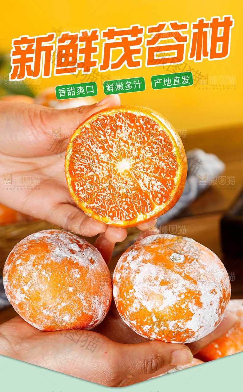 新鲜茂谷柑详情