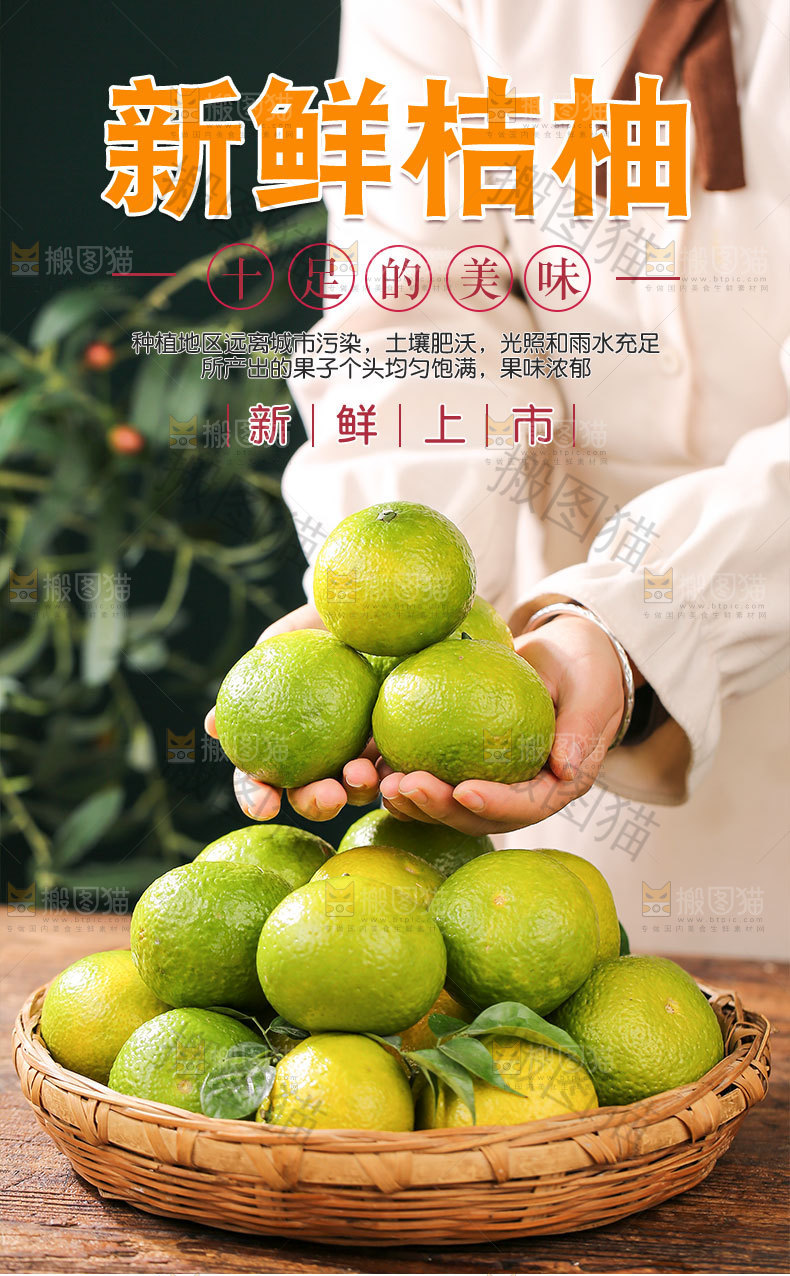 新鲜桔柚详情页