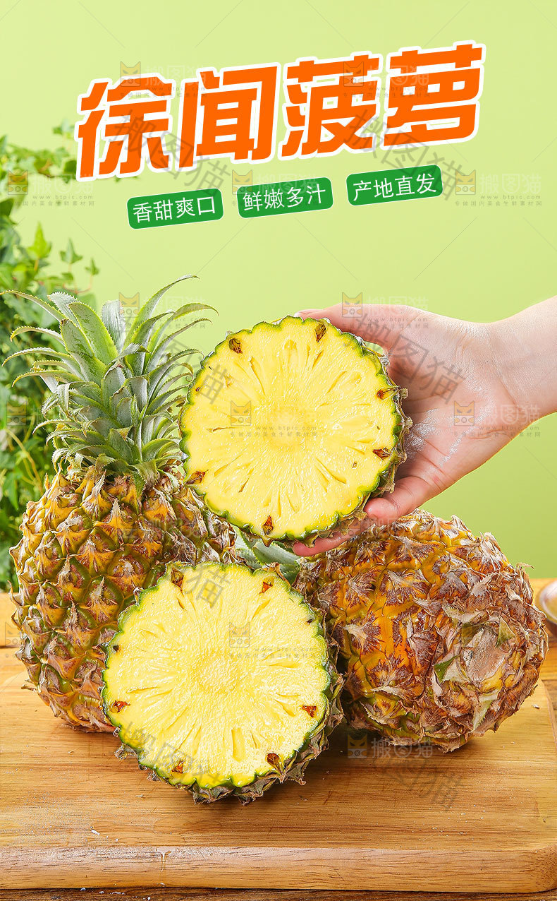 徐闻菠萝详情页