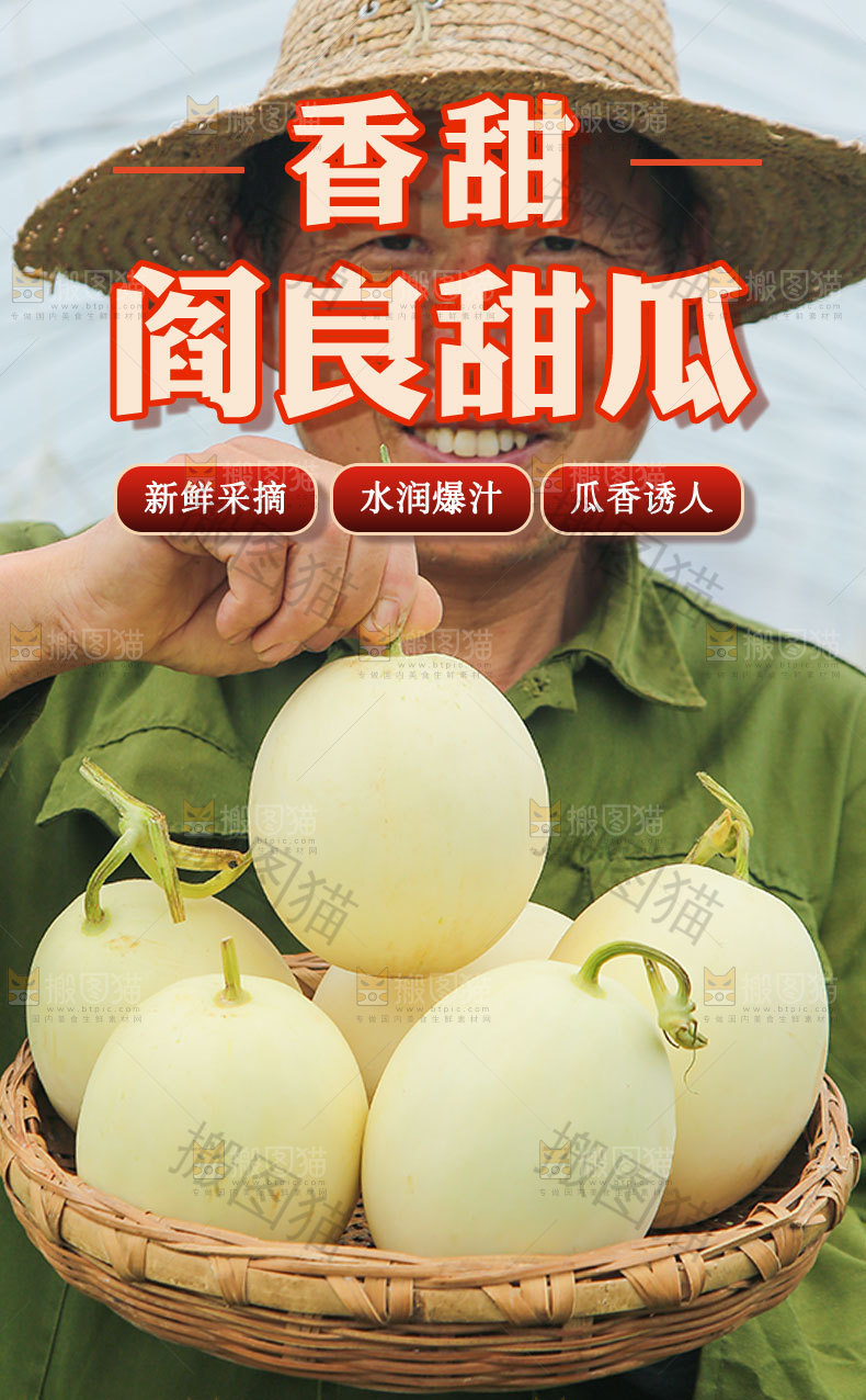 阎良甜瓜详情页