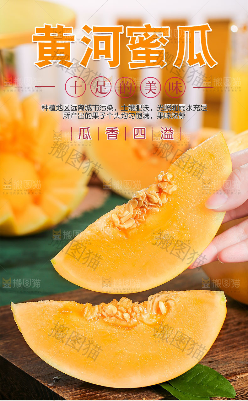 黄河蜜瓜详情页