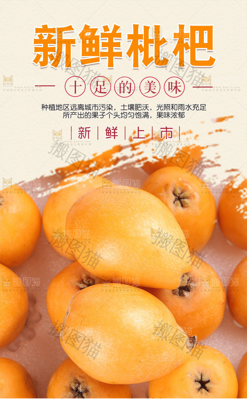 新鲜枇杷详情页