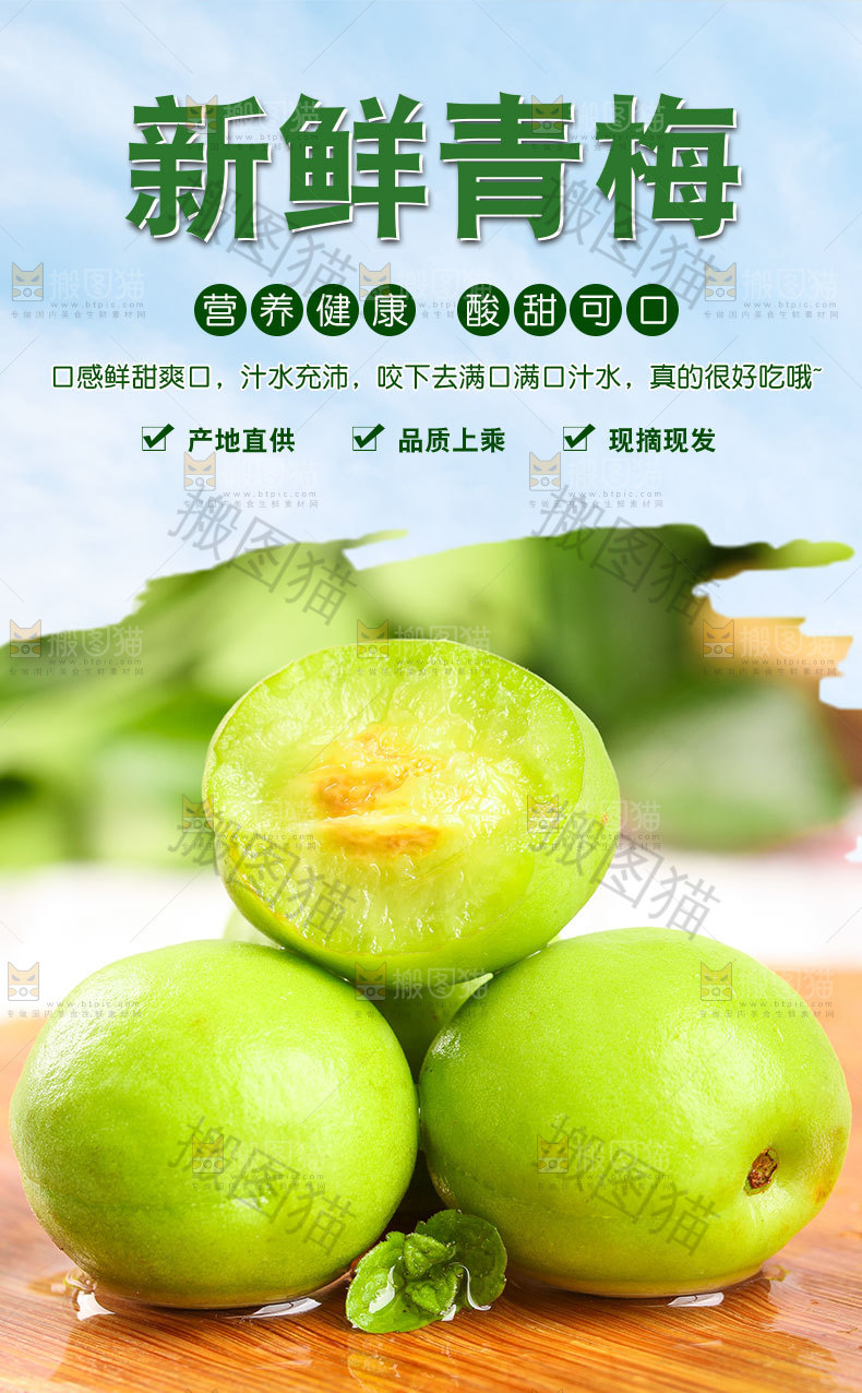 新鲜青梅详情页