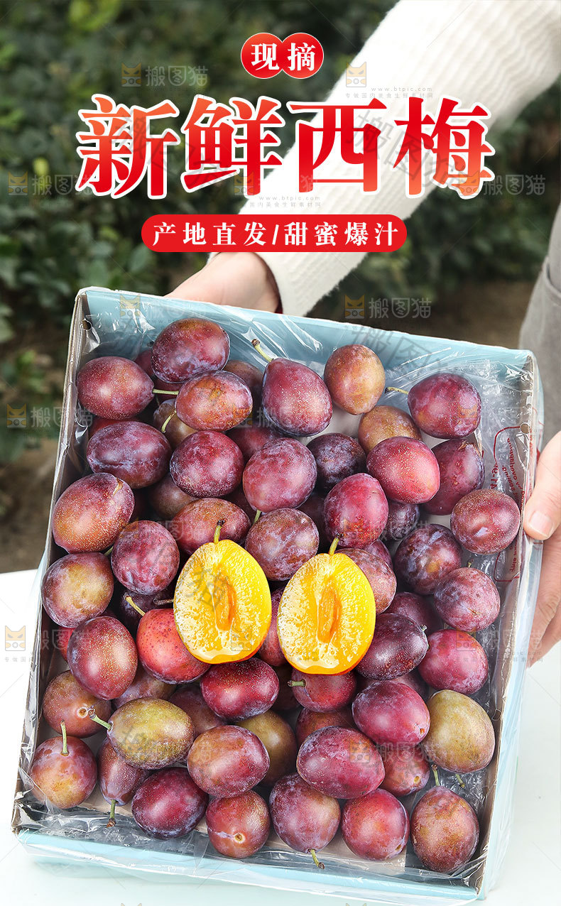 澳洲西梅详情页