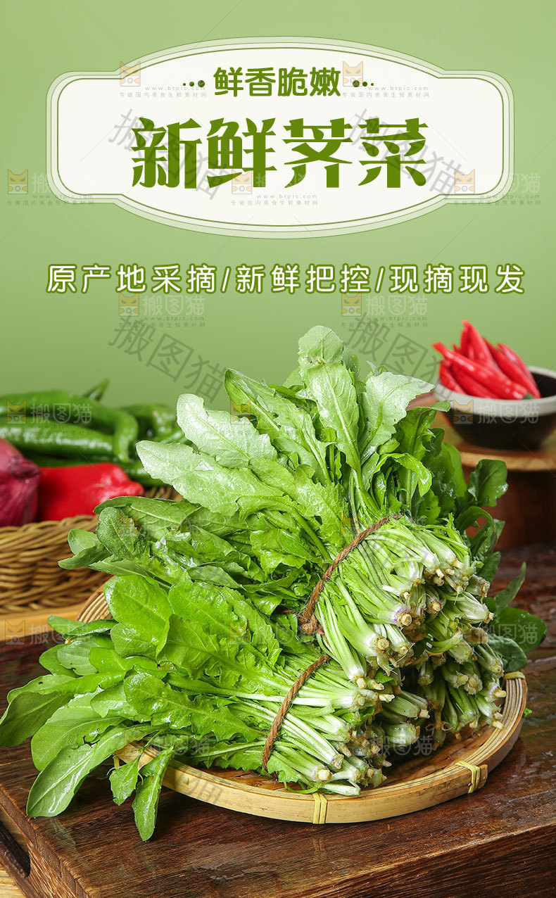 新鲜荠菜详情页