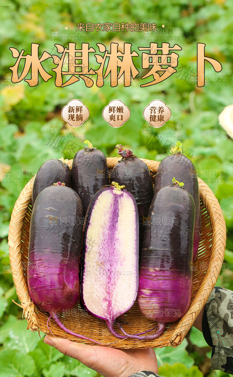 冰淇淋萝卜详情页