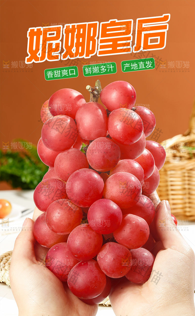 妮娜皇后葡萄详情页