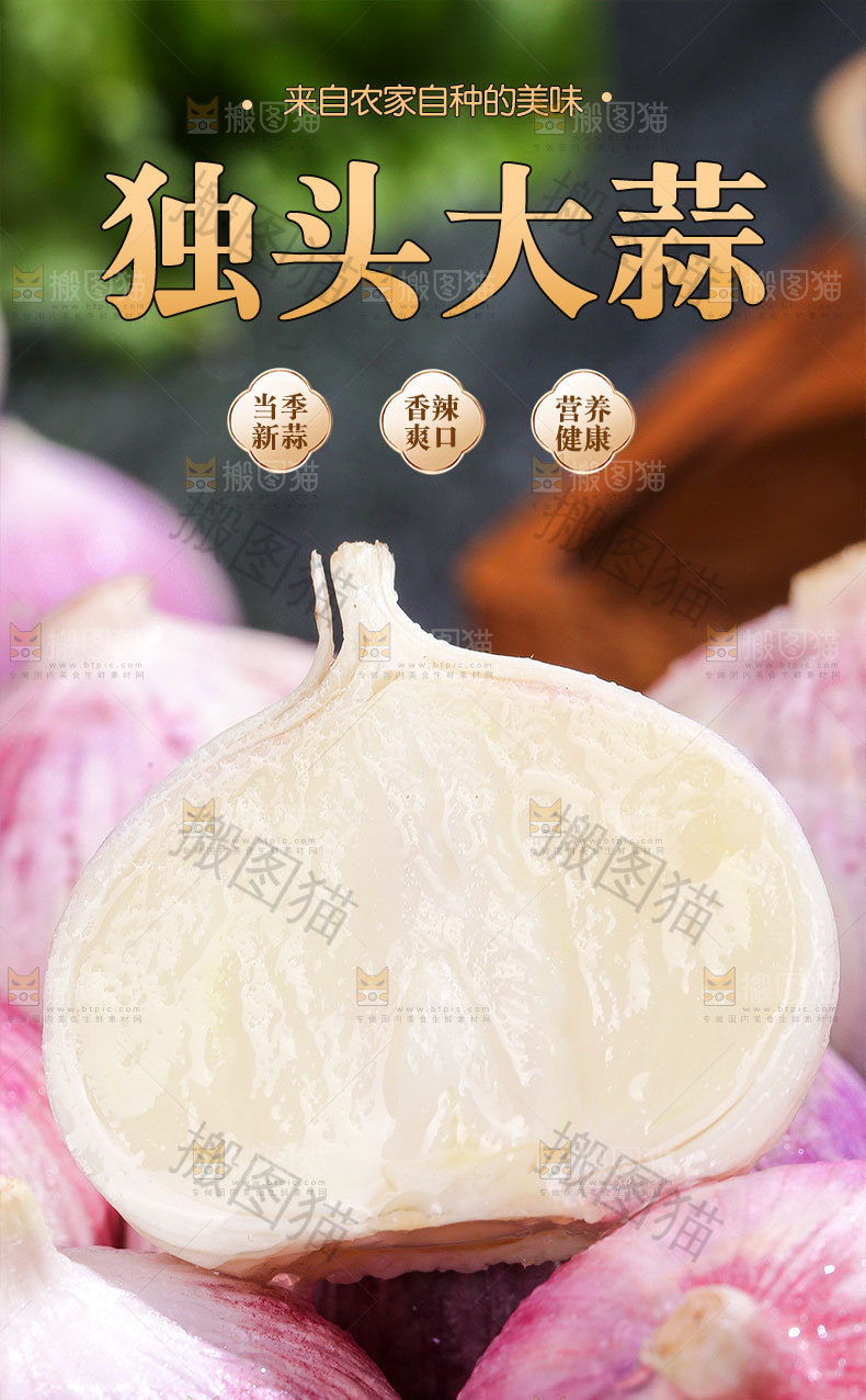 独头蒜详情页