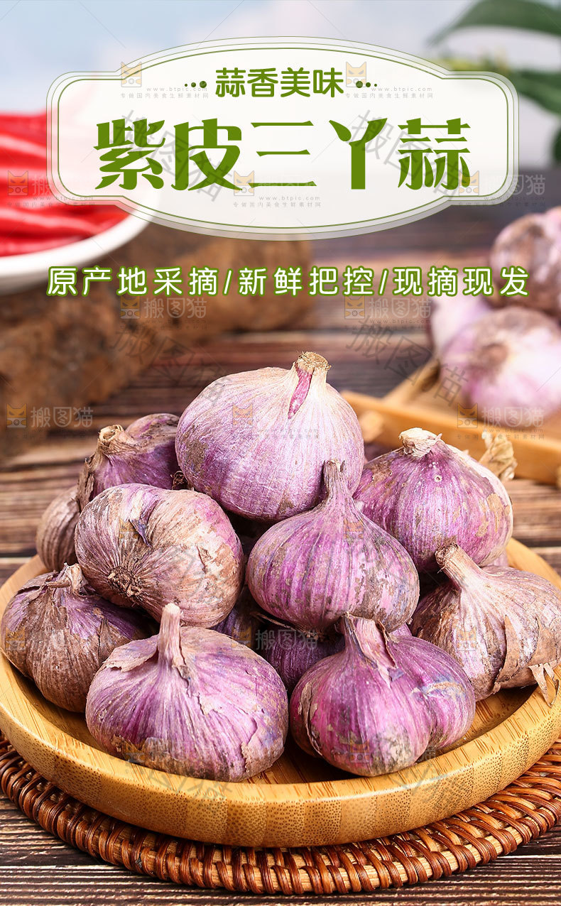 紫皮三丫蒜详情页