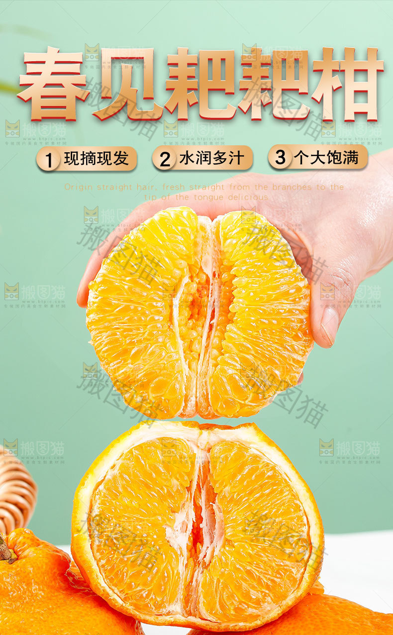 春见耙耙柑详情页