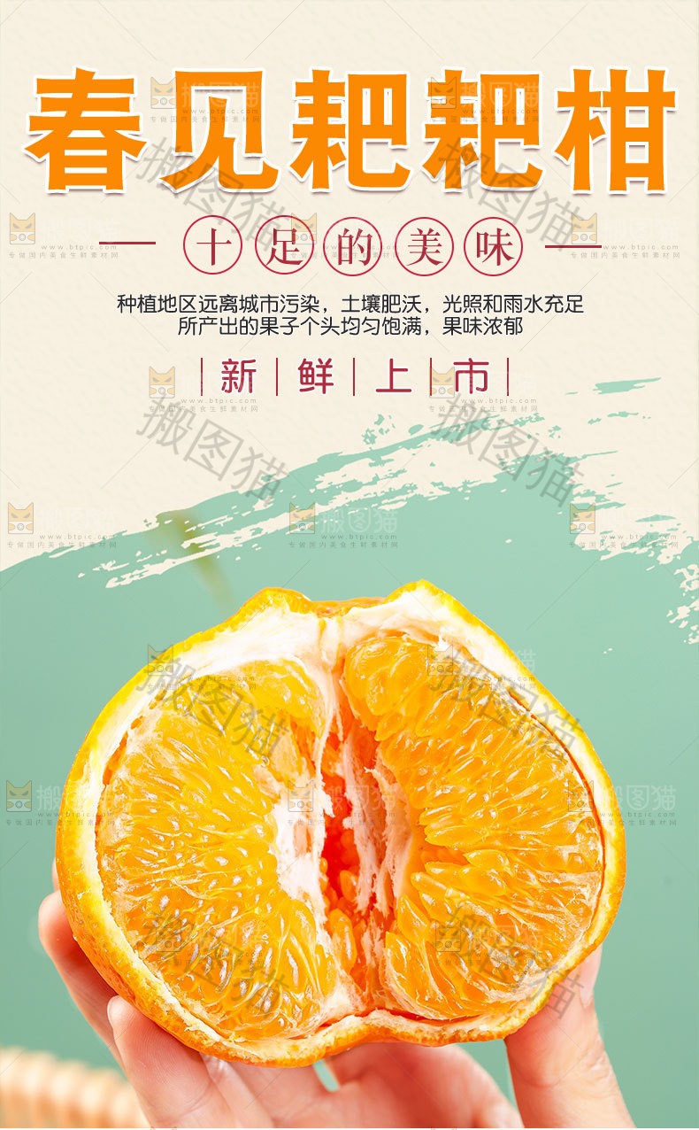 春见耙耙柑详情页