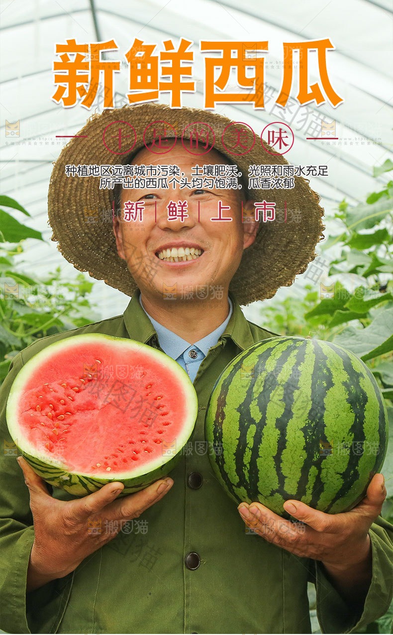 新鲜西瓜详情页