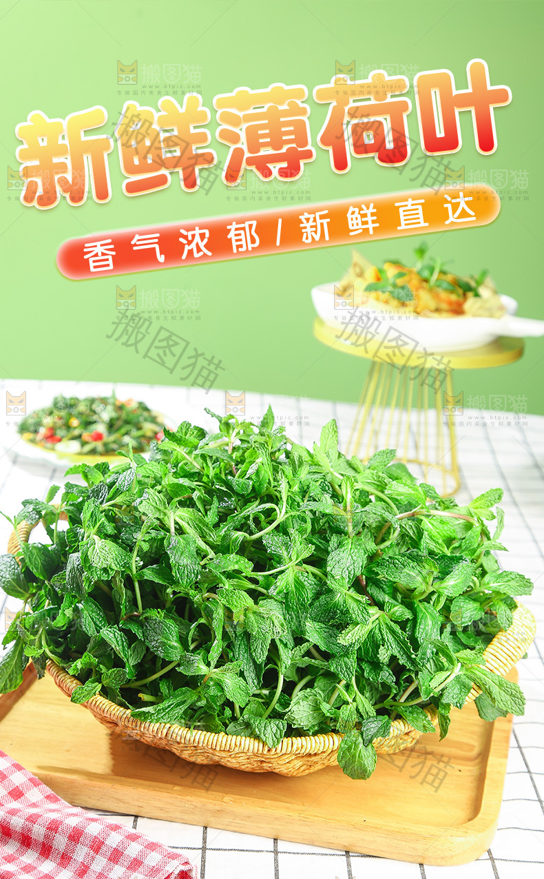 新鲜薄荷叶详情页