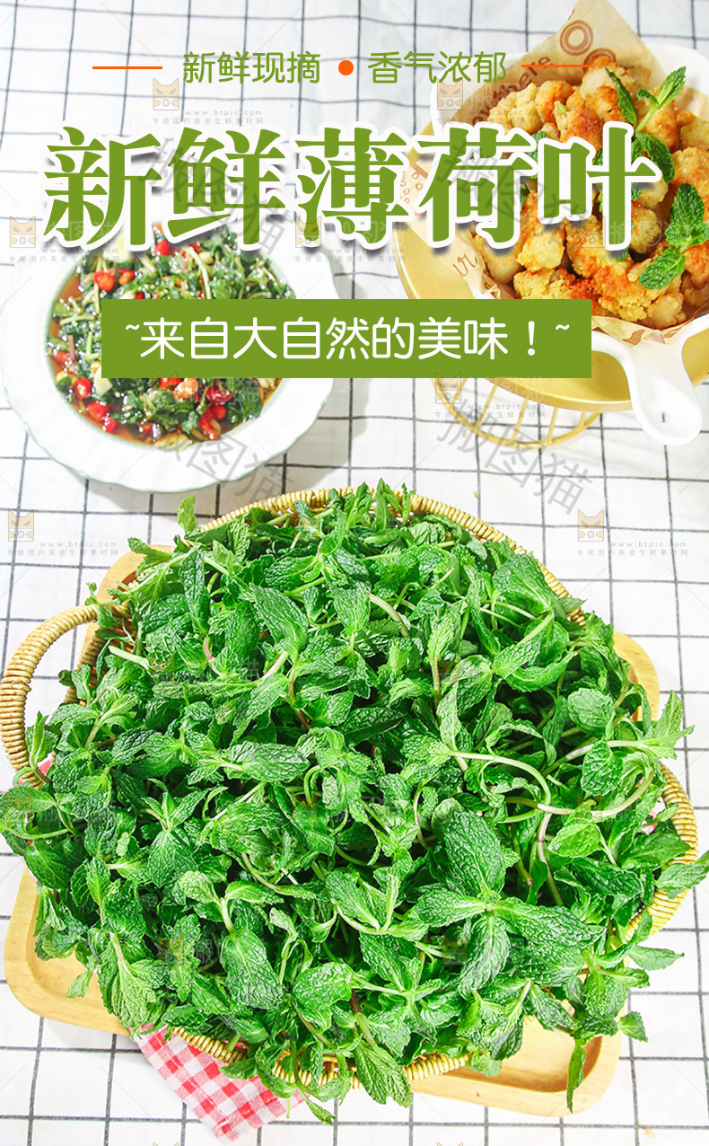 新鲜薄荷叶详情页