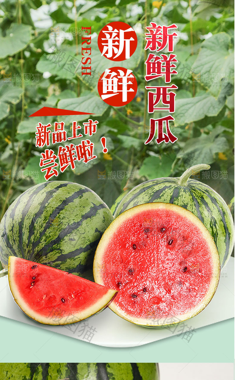 新鲜西瓜详情页