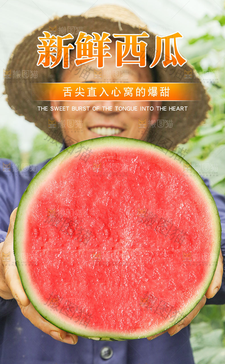 新鲜西瓜详情页