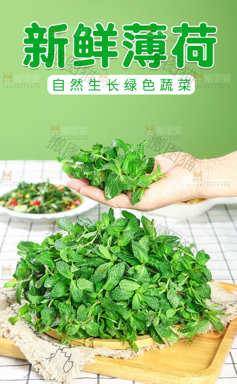 新鲜薄荷详情页