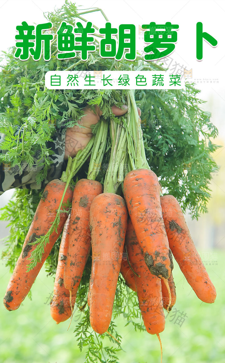 新鲜胡萝卜详情页