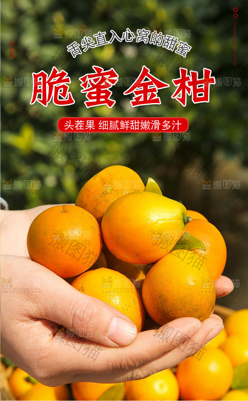 脆蜜金柑详情页