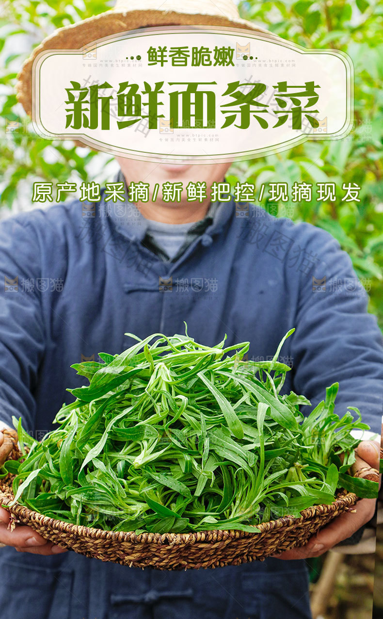 新鲜面条菜详情页