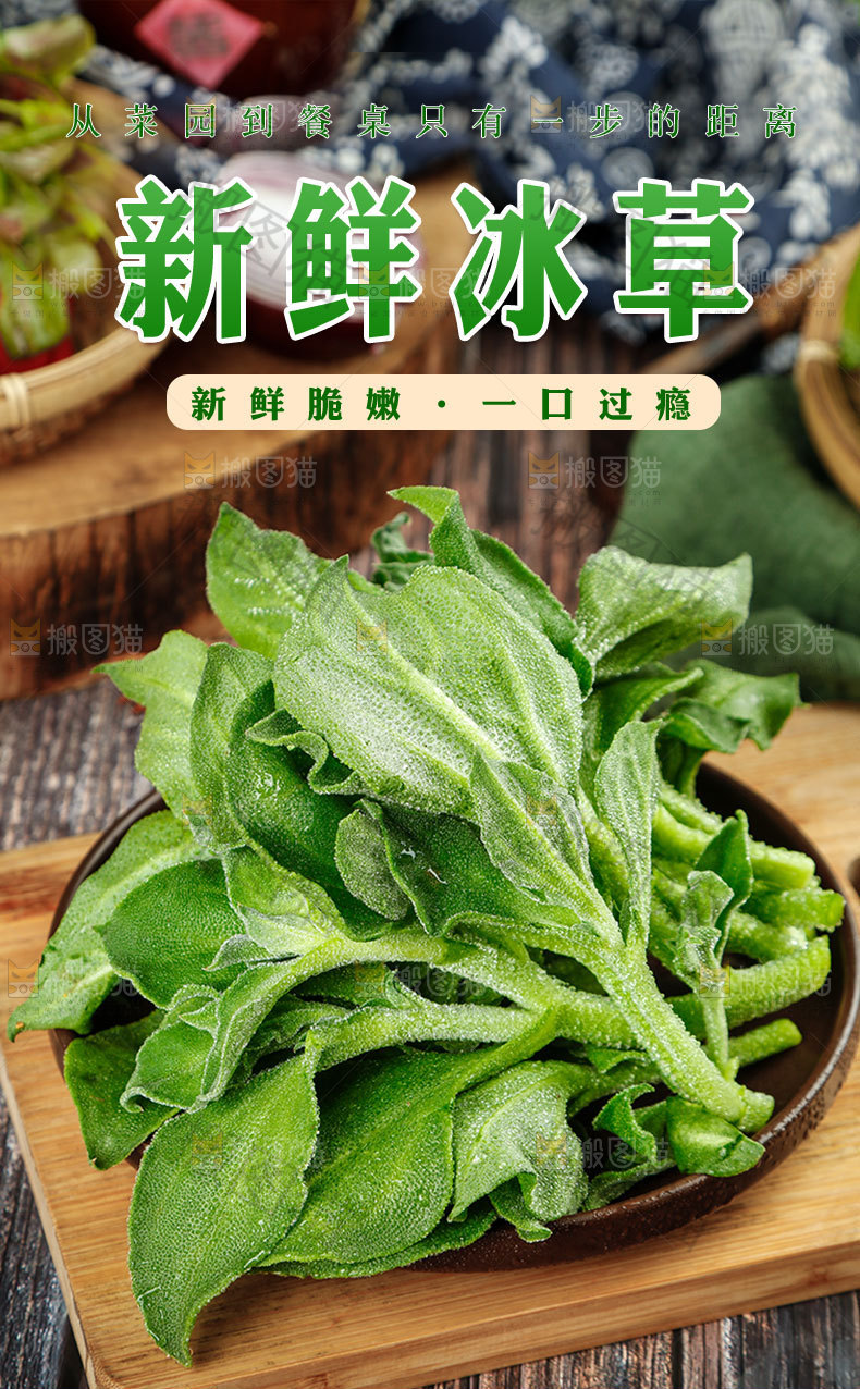 新鲜冰草详情页
