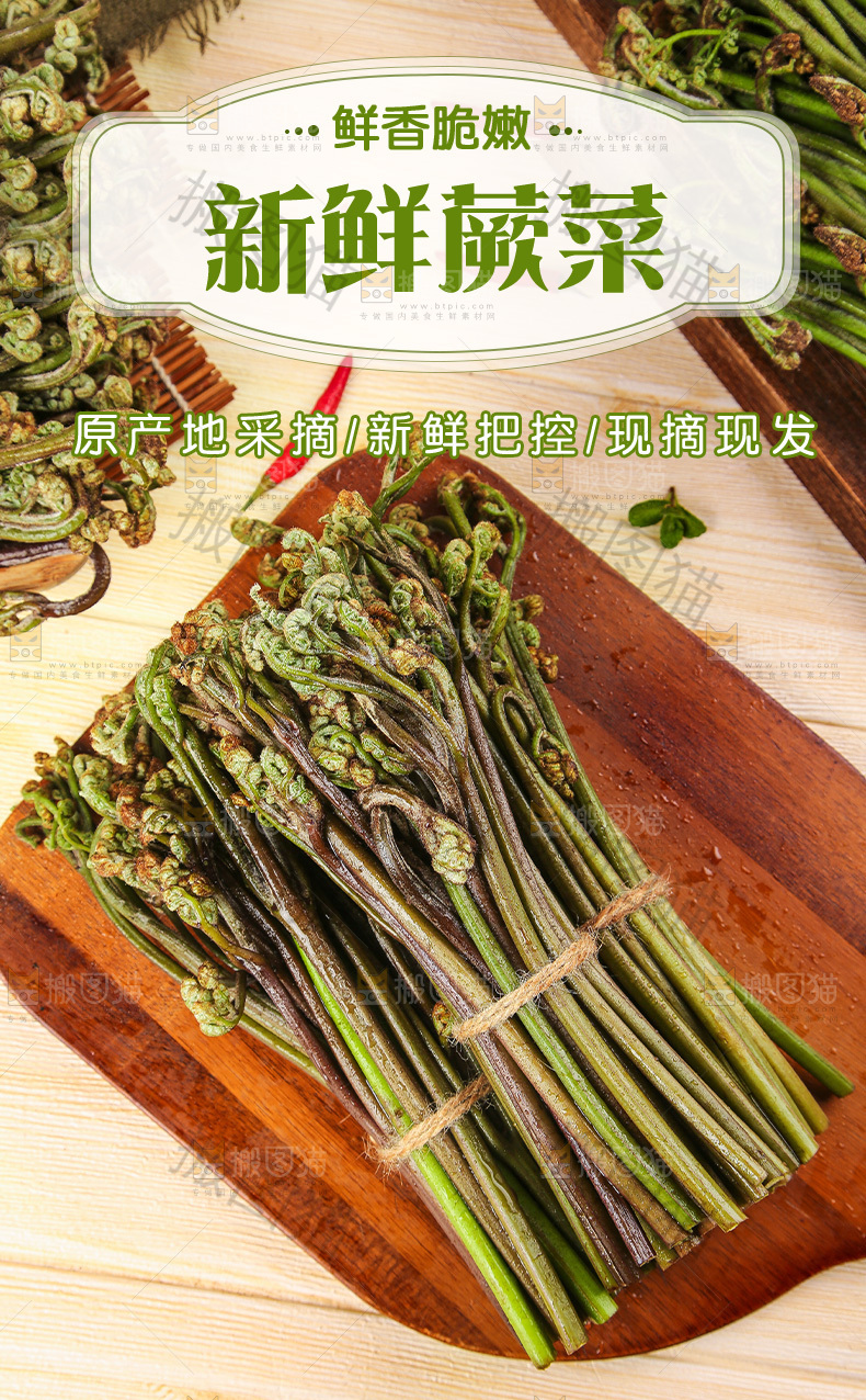 新鲜蕨菜详情页