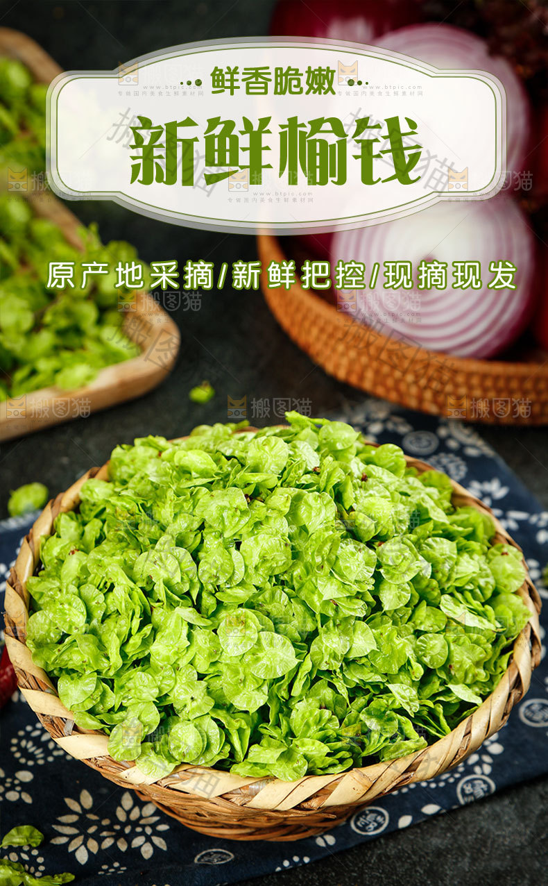 新鲜榆钱详情页