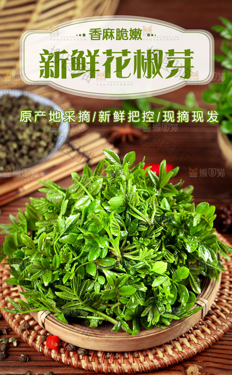 花椒芽详情页