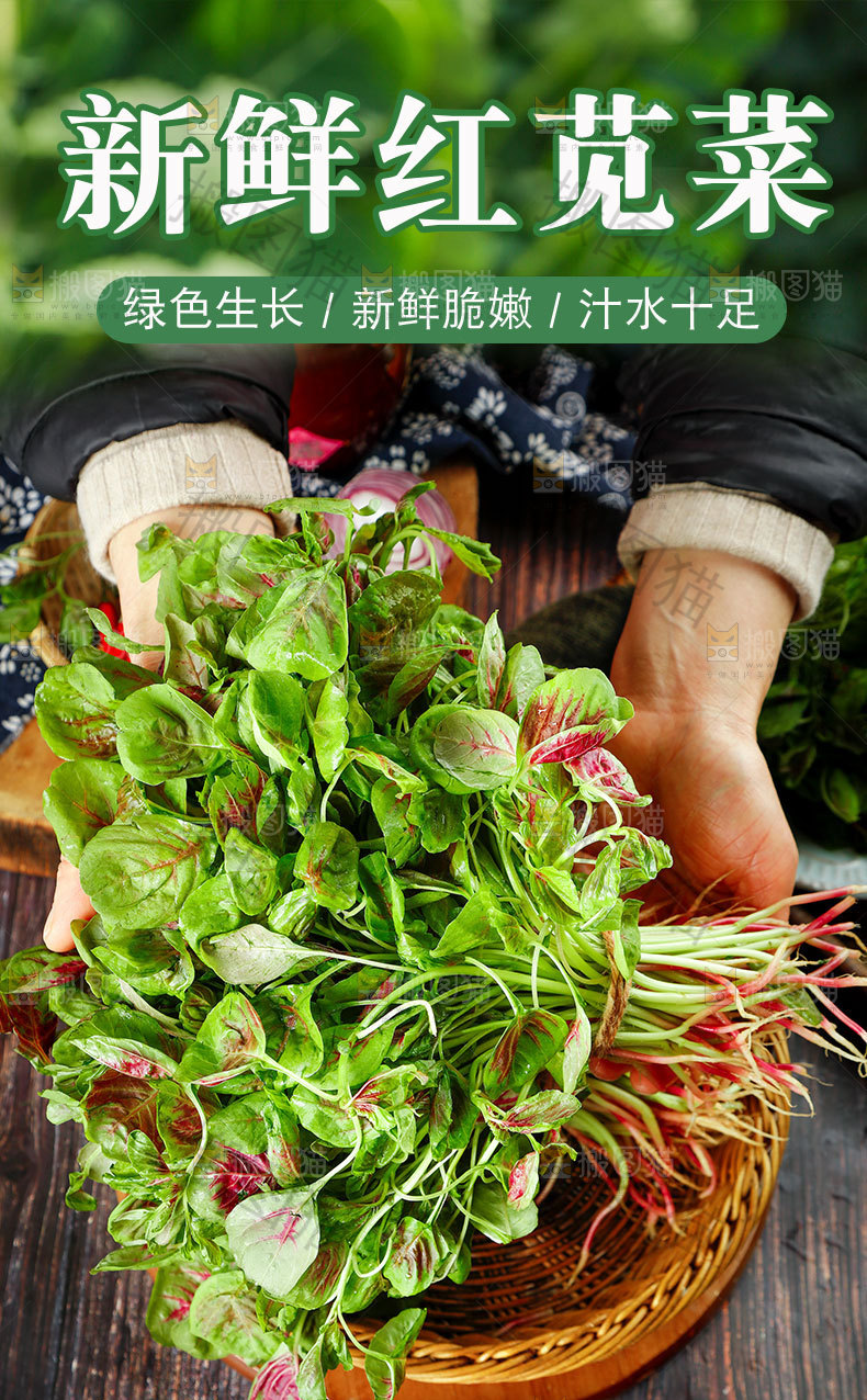 红苋菜详情页设计