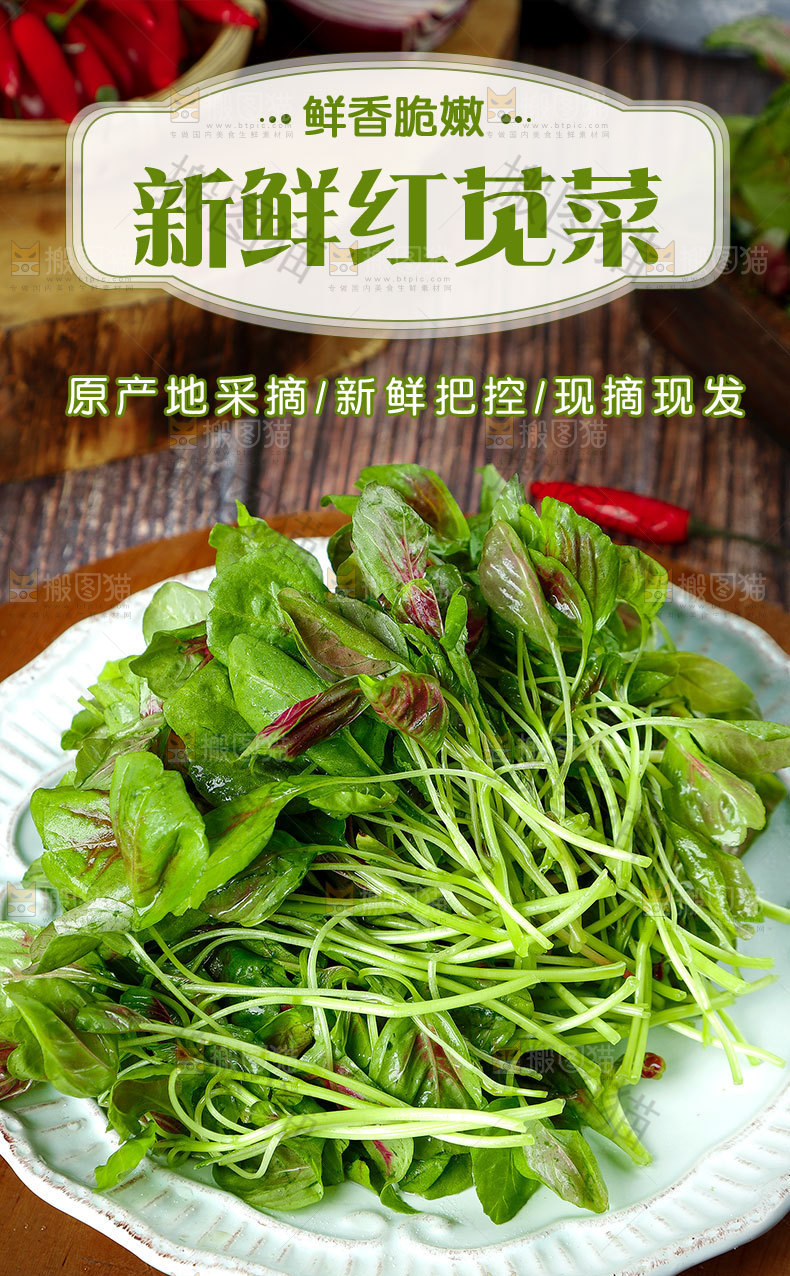 红苋菜详情页设计
